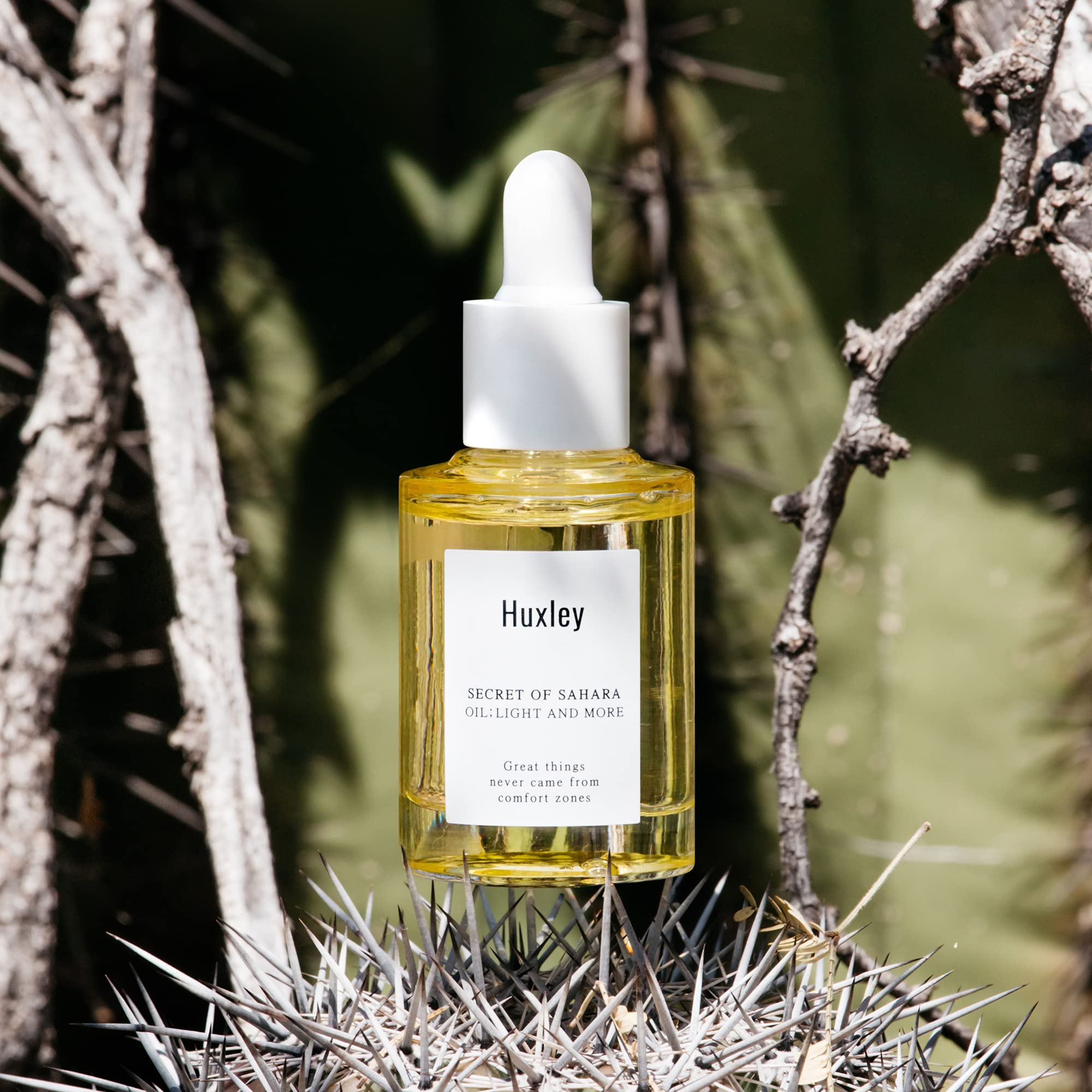 Amazon.com : Huxley Secret of Sahara Oil Light and More 1.01 fl