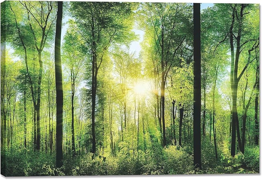 Amazon.co.jp: 山 絵 森林 ポスター 太陽 壁掛け 自然 風景 アート