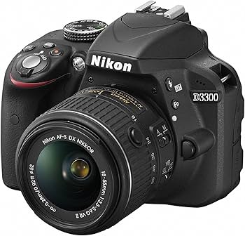 Amazon.com : Nikon D3300 24.2 MP CMOS Digital SLR with 18-55mm DX
