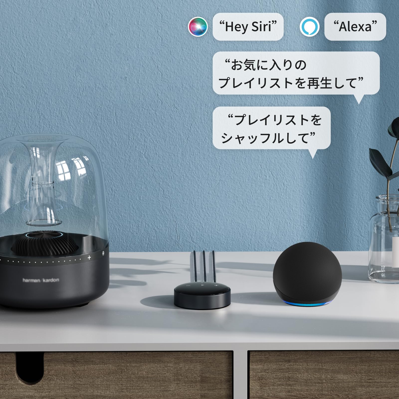 Amazon.co.jp: 【直輸入品】WiiM Mini AirPlay 2 ワイヤレスオーディオ