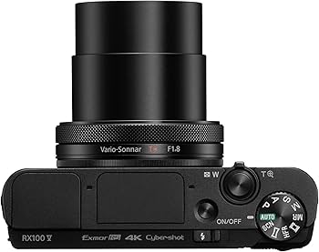 Amazon.com : Sony Cyber-Shot DSC-RX100 V 20.1 MP Digital Still