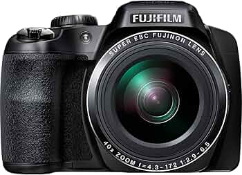 81sAXmvEuQL._AC_UF350,