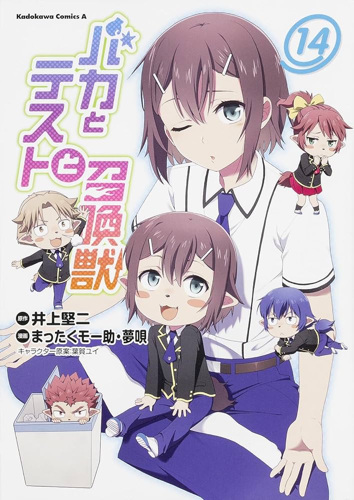 Amazon.co.jp: バカとテストと召喚獣 (14) (カドカワコミックス