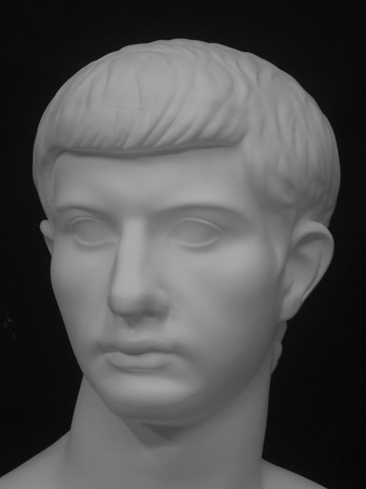 81Zxw9NFEcL._AC_UF894,