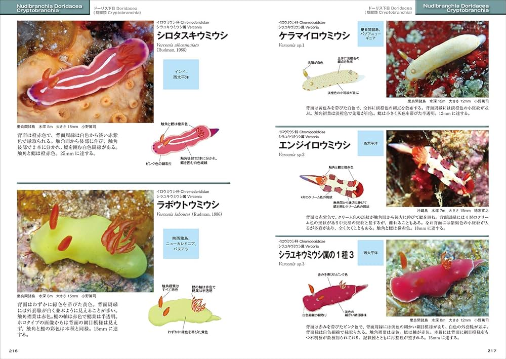 81aFfmpTb-L._AC_UF1000,