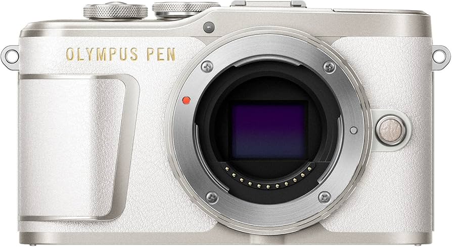 Amazon.com : OM SYSTEM OLYMPUS PEN E-PL9 Body Only with 3-Inch LCD