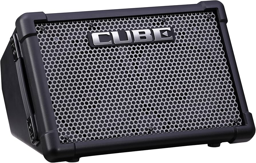 Amazon.com: Roland Cube Street EX | Battery-Powered 50W Stereo