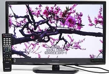 81b2Ksar0IL._AC_UF350,