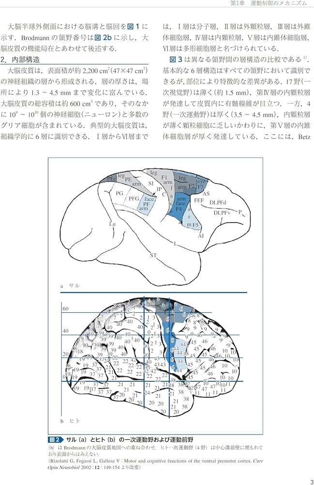 不随意運動の診断と治療 改訂第3版 動画で学べる神経疾患 | 梶 龍兒