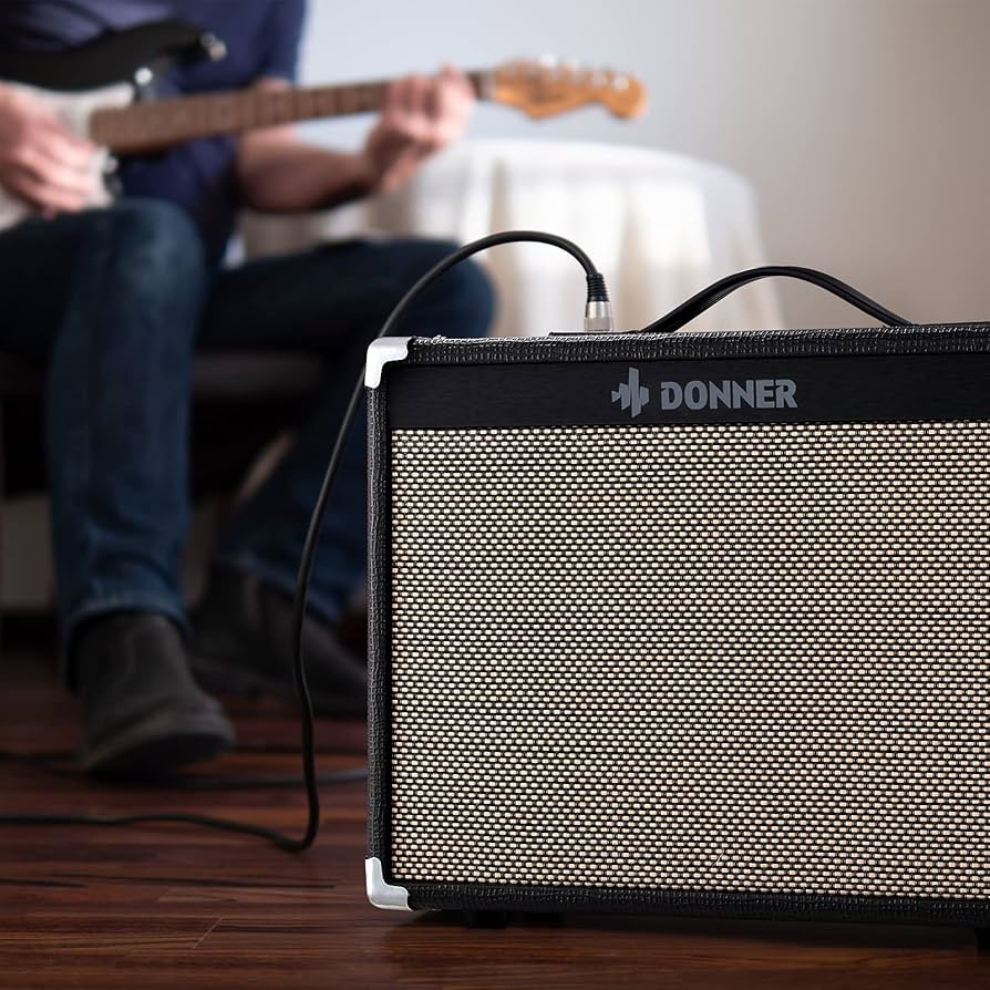 Amazon.co.jp: Donner ギターアンプ 20W クリーンとドライブ2