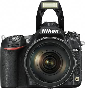 Amazon.co.jp: Nikon Digital Single Lense Camera D750 : Electronics