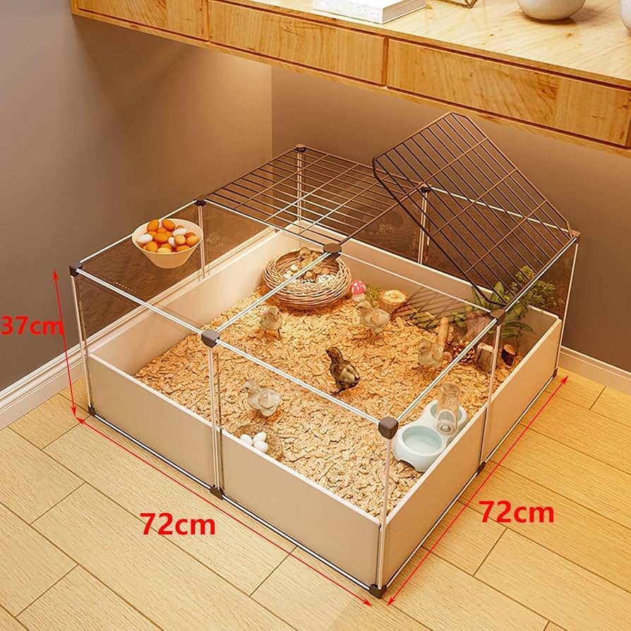 81e4hdVV50L._AC_UF894,