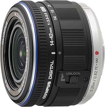 81fYP8EVIqL._AC_UF350,