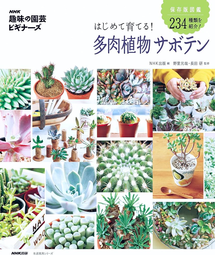 NHK「趣味の園芸ビギナーズ」 はじめて育てる! 多肉植物 サボテン