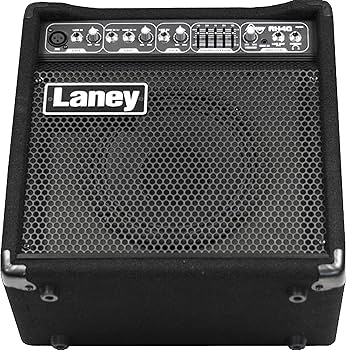 Amazon.com: Laney Audiohub AH40 Multi-Input Combo 40W 8 Inch