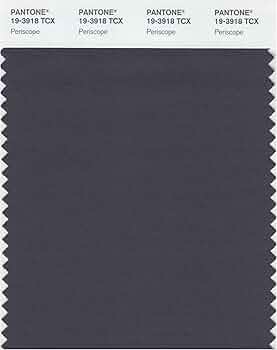 Amazon.com: Pantone 19-3918 TCX Smart Color Swatch Card, Periscope