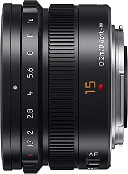Amazon.com : Panasonic H-X015-K Monofocal Wide Angle Lens for