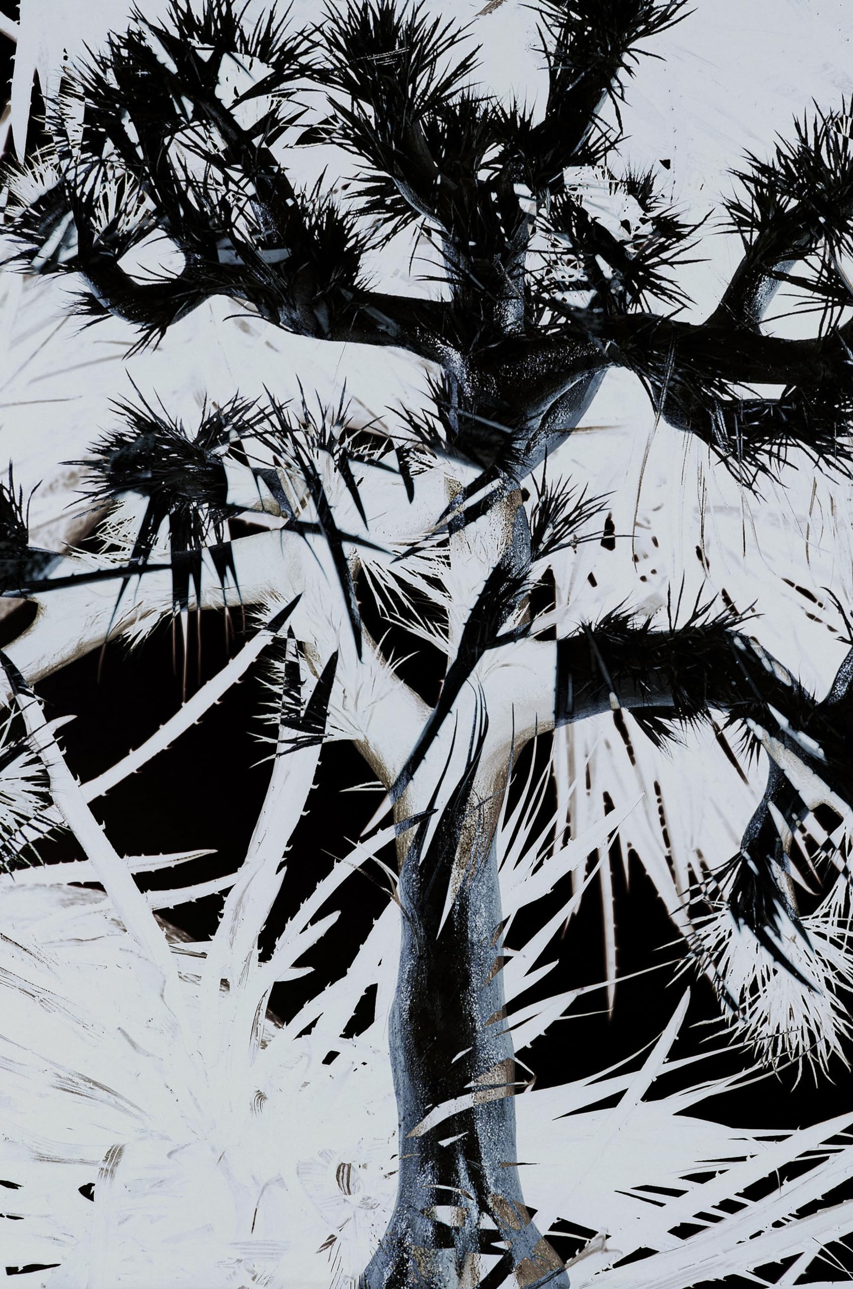 Amazon.co.jp: Plastic Tree [完全生産限定盤] [CD + DVD + BOOK