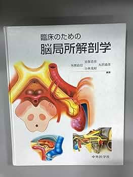 91u8QI4tRqL._AC_UF350,