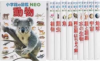 91wjItdK67L._AC_UF350,