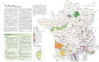 91xfXC+yL2L._AC_UF350,