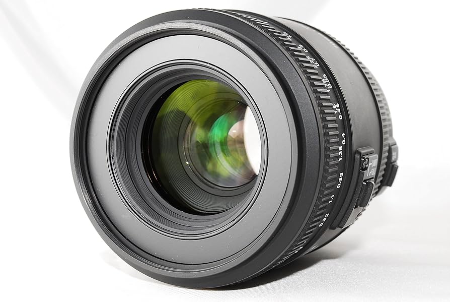 Amazon.com : Sigma 70mm F/2.8 EX DG Macro Lens for Canon Digital