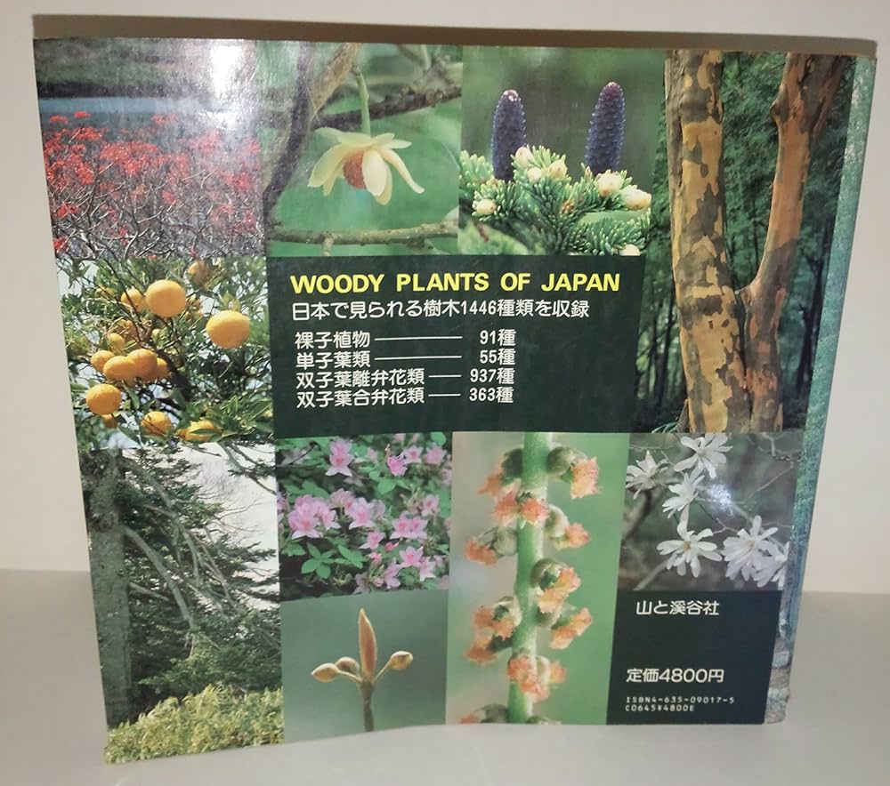 日本の樹木 (山渓カラー名鑑) | 林 弥栄 |本 | 通販 | Amazon