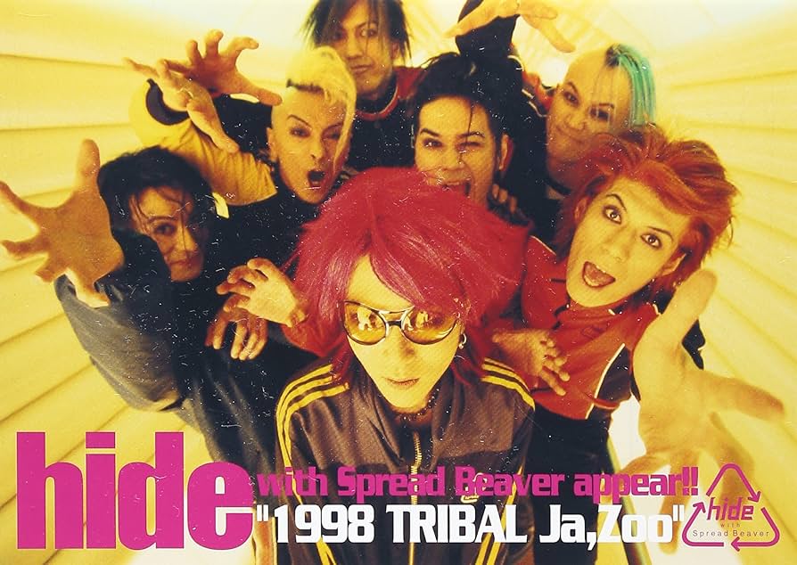 Amazon.com: hide with Spread Beaver appear !! 