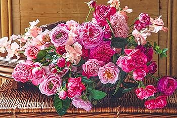 Amazon.co.jp: LEE 2025年1-2月合併号 : リー編集: Japanese Books