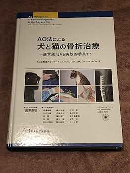 91O1HzeG0wL._AC_UF350,