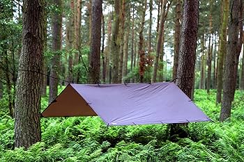 Amazon | DD Hammocks DD タープ 3×3 (コヨーテブラウン) | SPRING