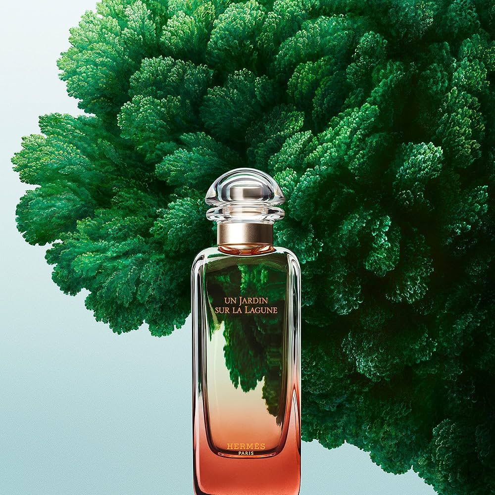 Amazon.com : Un Jardin Sur La Lagune by Hermes for Women 3.3 oz