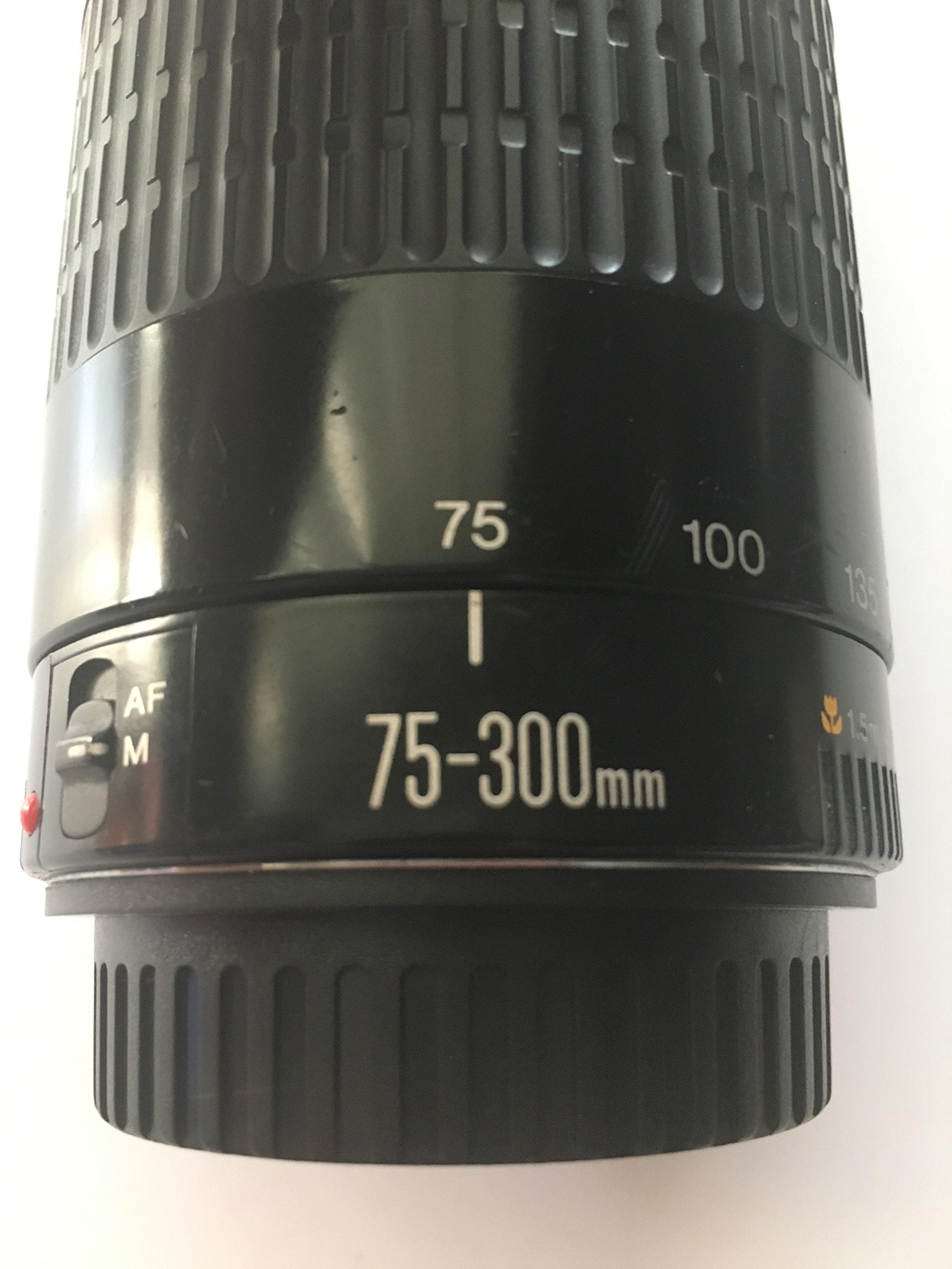 Amazon.com : Canon EF 75-300mm f/4-5.6 III Telephoto Zoom Lens for