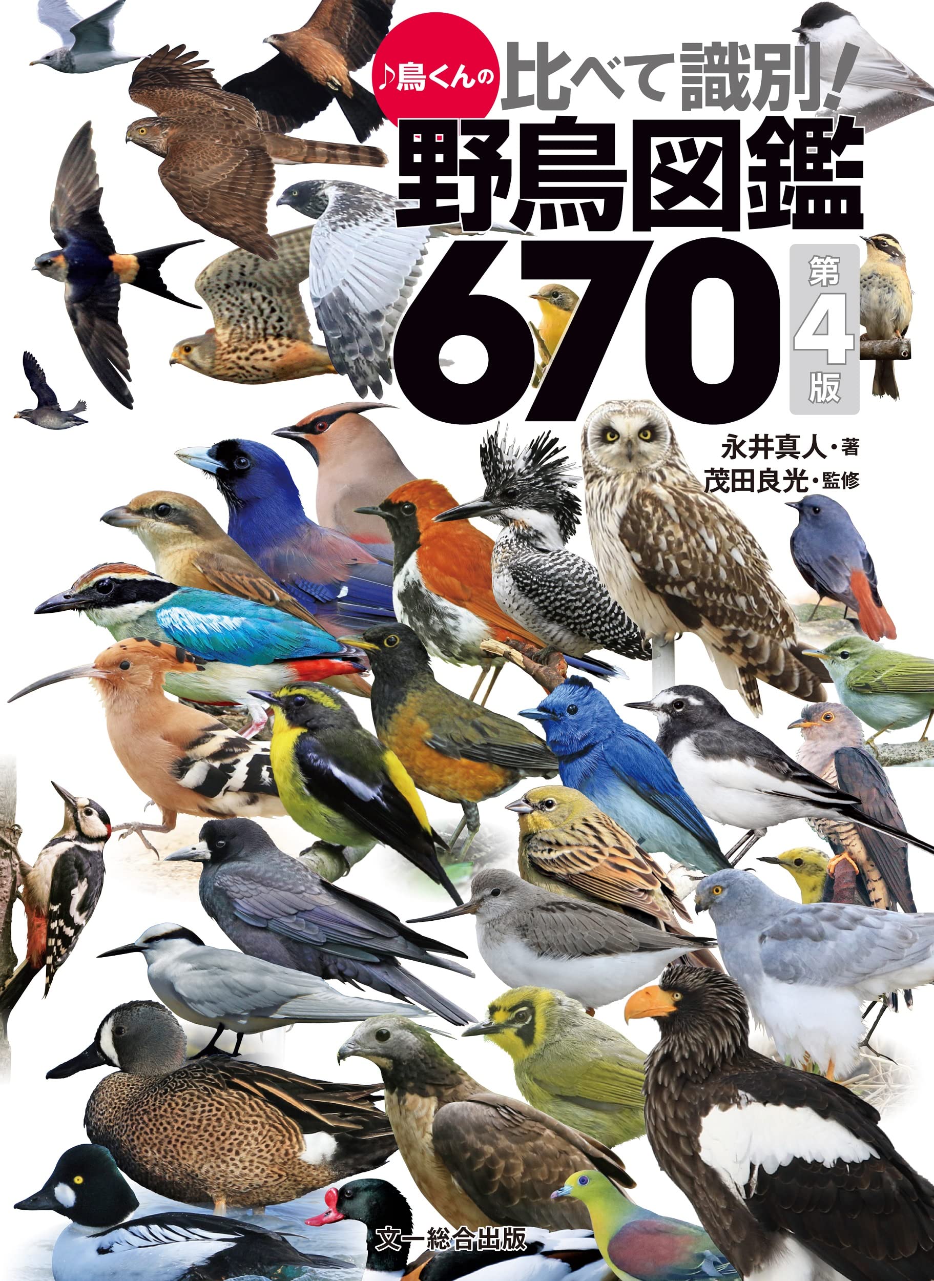 ♪鳥くんの比べて識別！野鳥図鑑670 第4版 | 永井 真人 (♪鳥くん