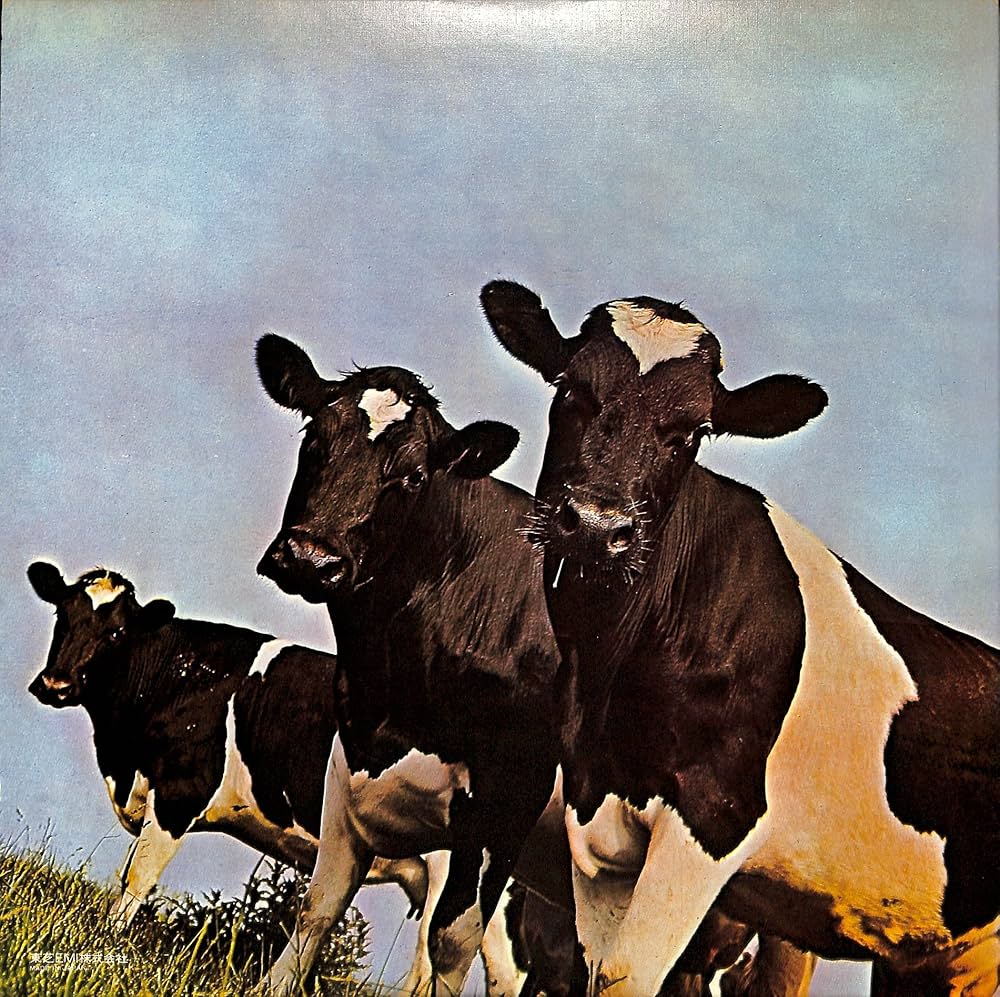 Amazon.co.jp: 原子心母[ピンク・フロイド][LP盤]: ミュージック