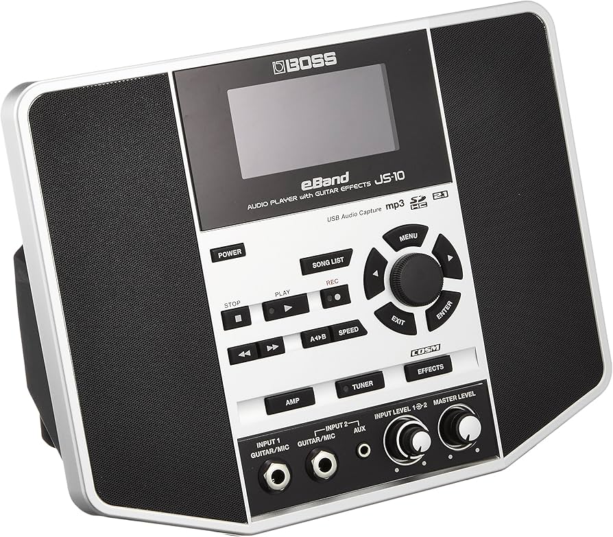 Amazon.com: Boss JS-10 eBand : Musical Instruments