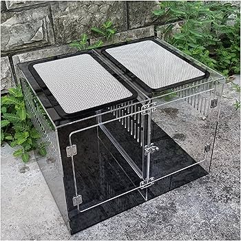 Amazon | 40cm30cm30cm爬虫ケージ 中間仕切り付き2匹のペットを隔離
