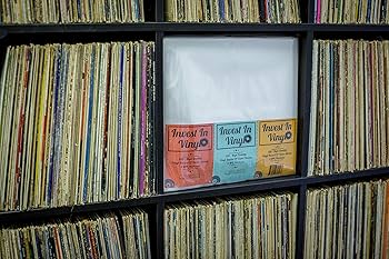 Amazon.co.jp: Invest In Vinyl 100 クリアプラスチック保護LPアウター