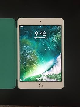 Amazon.com : Apple iPad Mini 4 (16GB, Wi-Fi, Silver) : Electronics