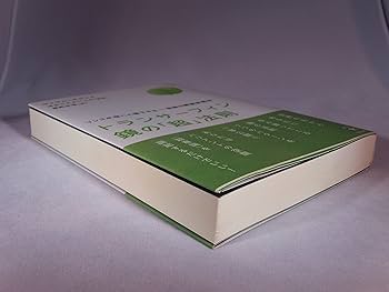 トランサーフィン鏡の「超」法則 リンゴが空へと落下する――奇跡の願望