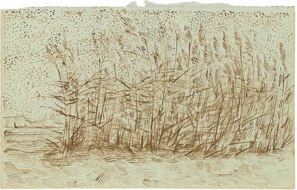 フィンセント・ファン・ゴッホ:失われたアルルのスケッチブック