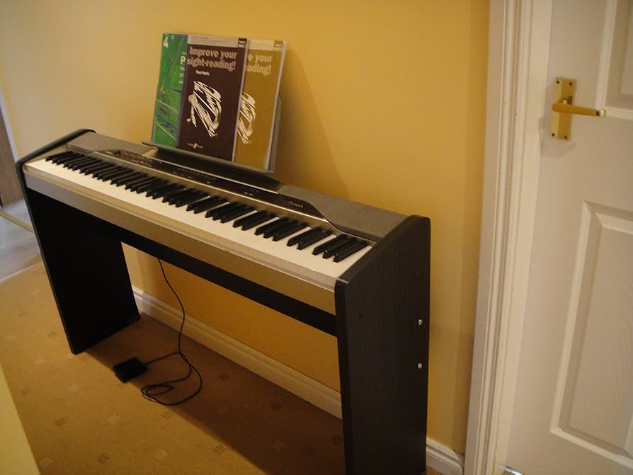 Amazon.co.jp: CASIO 電子ピアノ Privia PX-110 : 楽器・音響機器