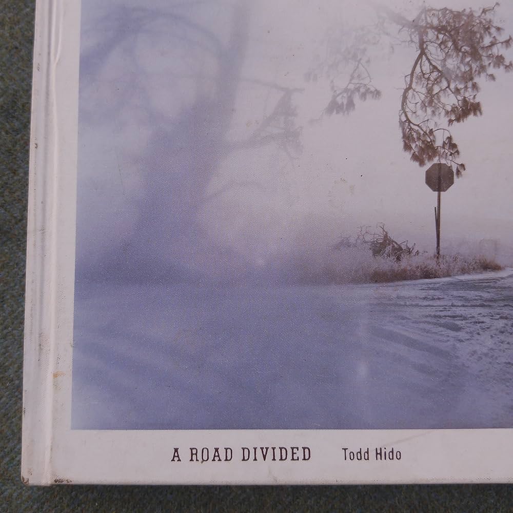 Amazon.com: A Road Divided: 9781590052662: Hido, Todd: Books
