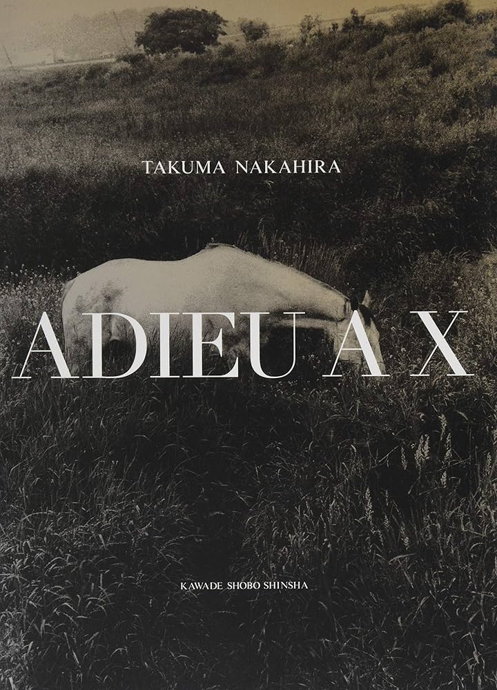 ADIEU A X | 中平卓馬 |本 | 通販 | Amazon