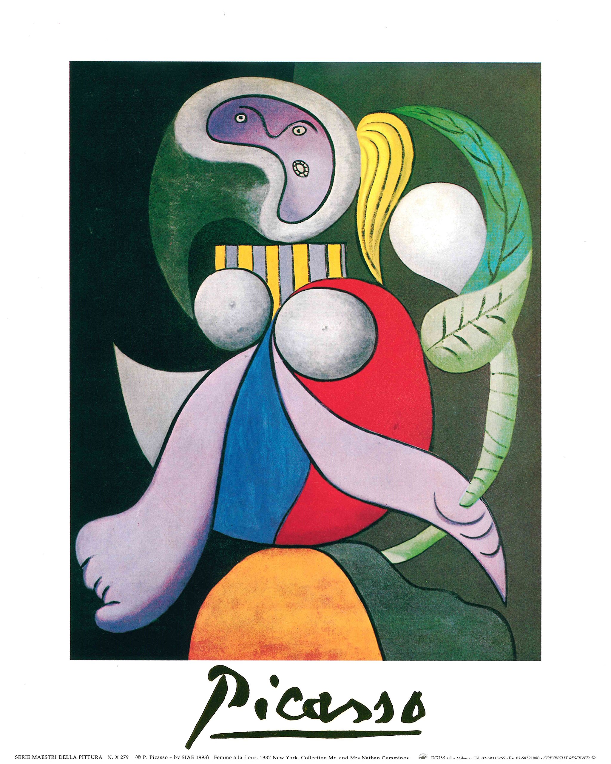 Amazon.co.jp: パブロ・ピカソ 【花と女性 women with flower