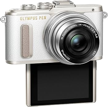 Amazon | OLYMPUS ミラーレス一眼 E-PL8 EZ ダブルズームキット