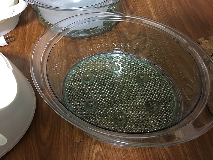 Amazon | ティファール 電気蒸し器 スチームクッカー イージースチーム