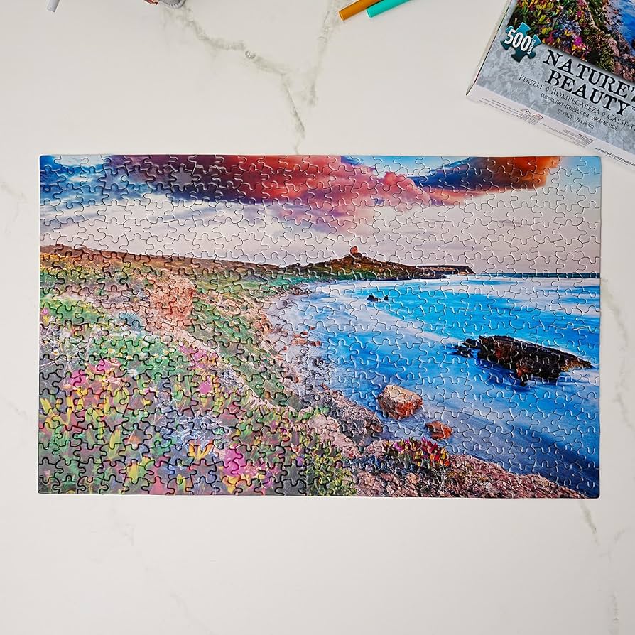 Amazon.com: Pink Sky Beach 500 Piece Natures Beauty Jigsaw Puzzle