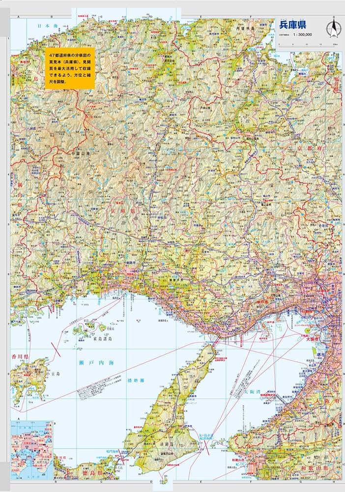 91nCZhUN2dL._AC_UF1000,