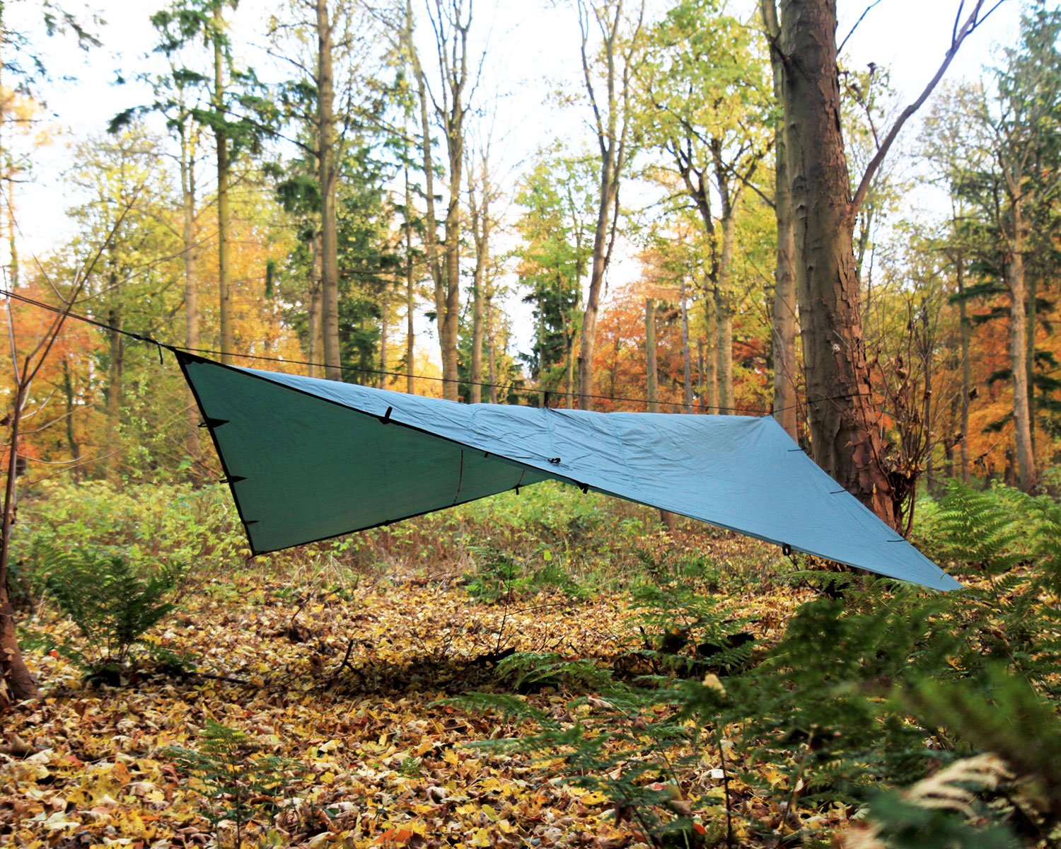 Amazon.com : DD Hammocks - DD Tarp 4x4 - Olive Green: 13ft x 13ft